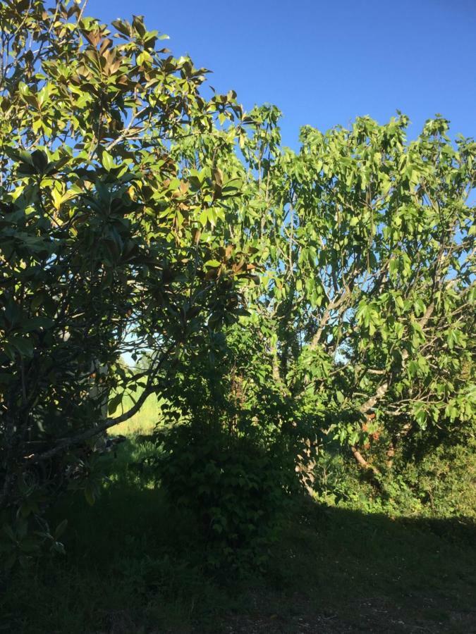 La Croix Blanche Bed & Breakfast Bagian luar foto