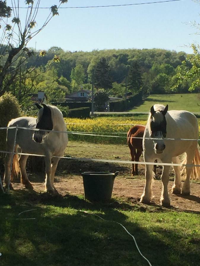 La Croix Blanche Bed & Breakfast Bagian luar foto