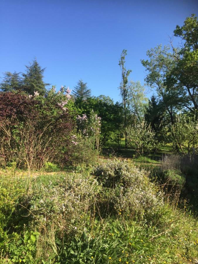 La Croix Blanche Bed & Breakfast Bagian luar foto